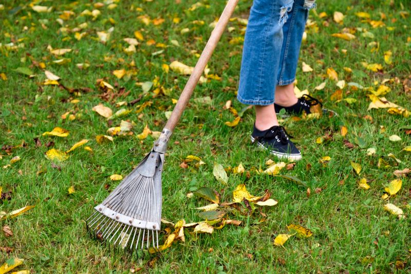 Seasonal Yard Care Tools