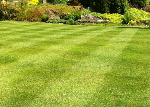 Commercial Grass Cutting in Hilliard