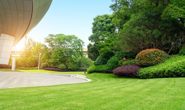 Commercial Lawn Care in Hilliard