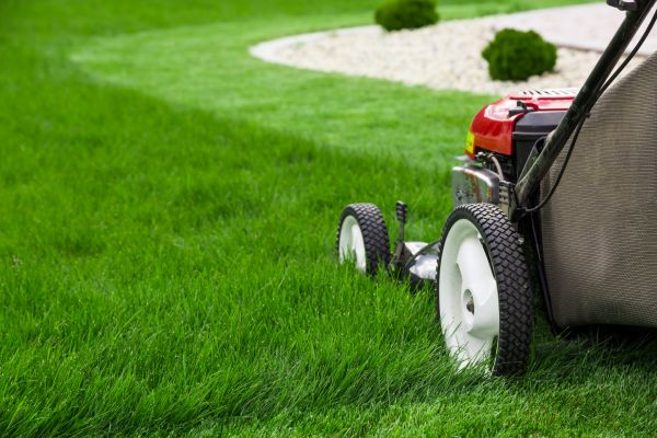 Lawn Maintenance in Hilliard