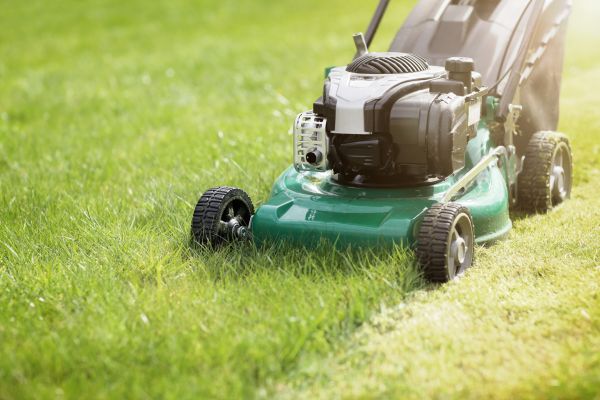 Cost of Yard Cutting in Hilliard