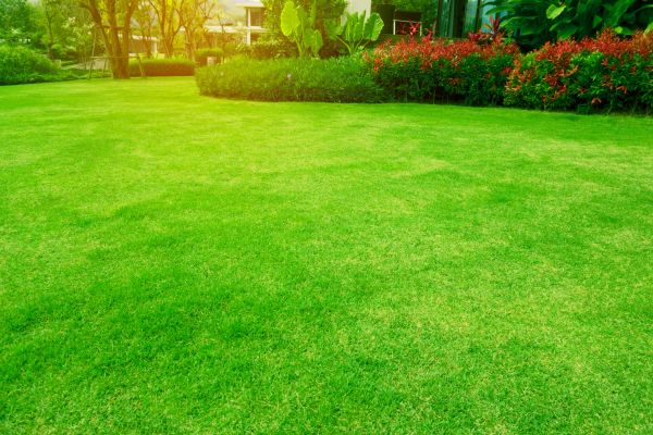 Cost of Grass Maintenance in Hilliard