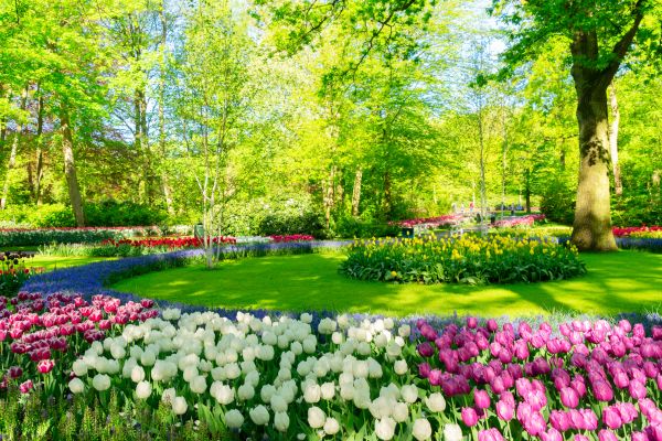 Cost of Spring Lawn Care in Hilliard