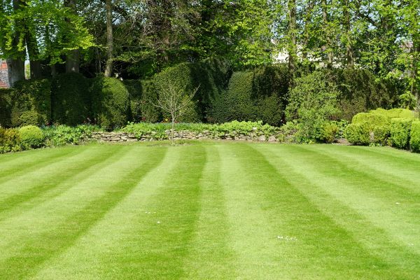 Grass Care Service in Hilliard