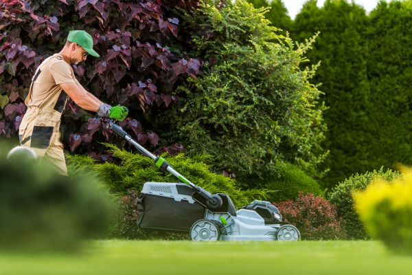 Lawn Management in Hilliard