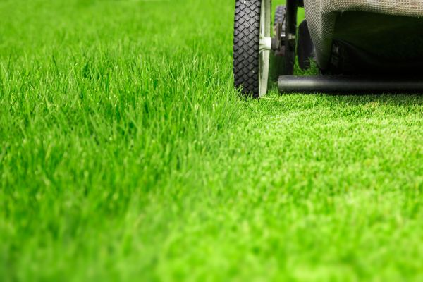 Weekly Lawn Care in Hilliard