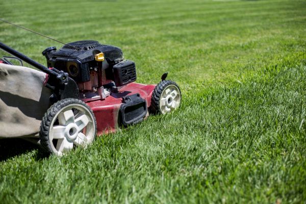 Cost of Routine Lawn Care in Hilliard
