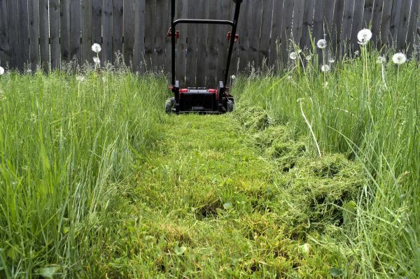 High Grass Mowing in Hilliard