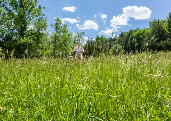 Long Grass Mowing in Hilliard