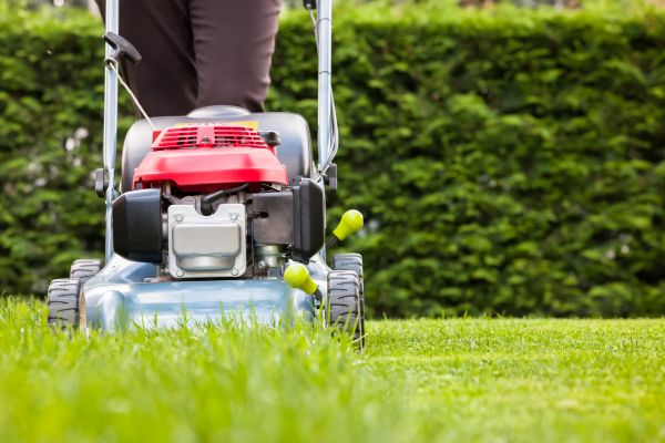Grass Trimming Service in Hilliard