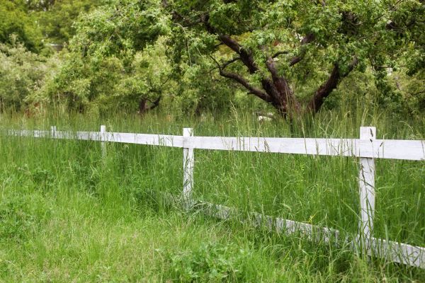 Cost of Fence Line Trimming in Hilliard
