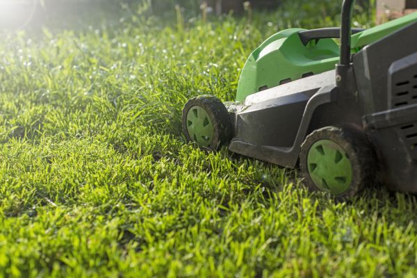 Cost of Yard Trimming in Hilliard