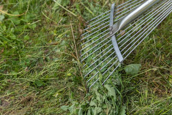 Thatch Raking in Hilliard