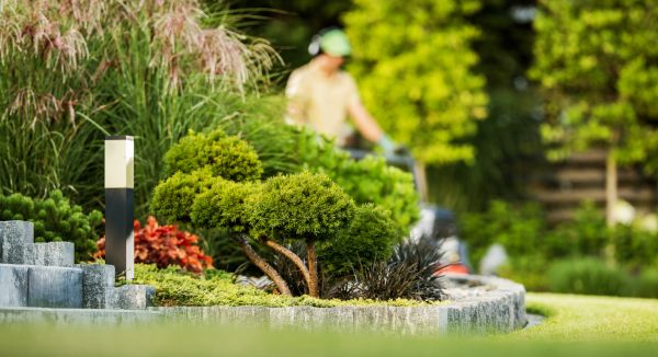 Residential Yard Maintenance in Hilliard