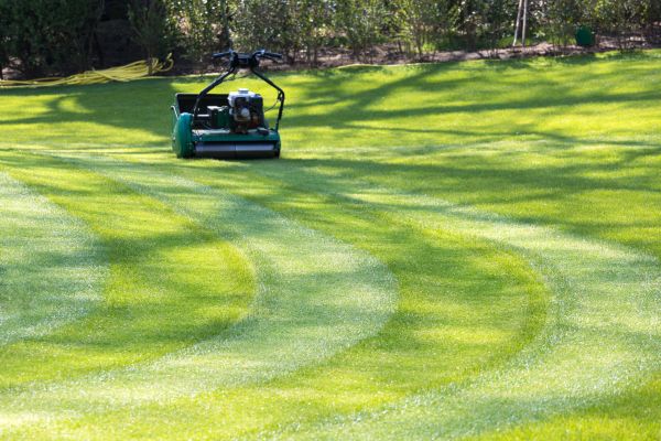 Business Lawn Mowing in Hilliard