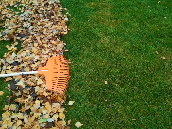 Fall Lawn Care in Hilliard