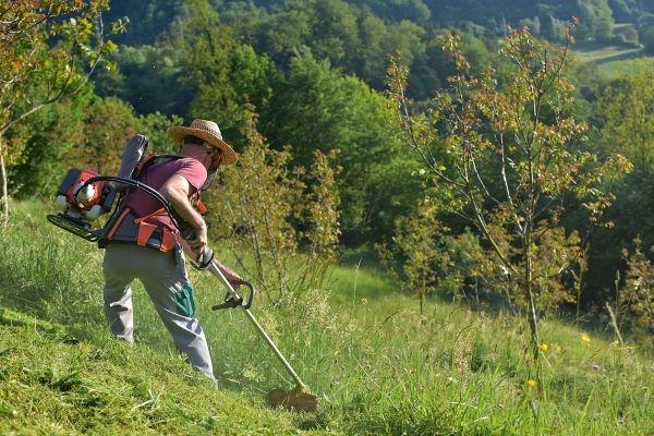 Slope Mowing in Hilliard