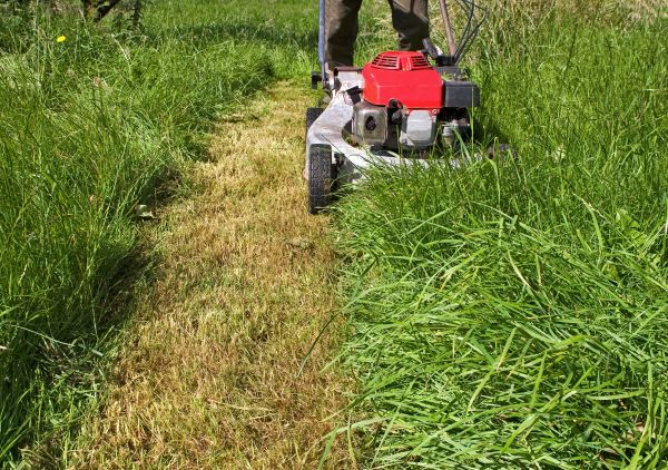 Leaf Mowing in Hilliard