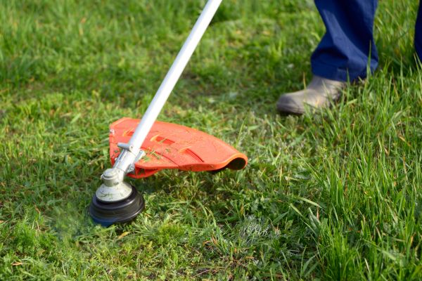 Cost of Lawn Weed Whacking in Hilliard