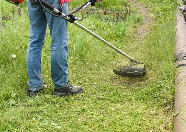 Cost of Tall Grass Trimming in Hilliard